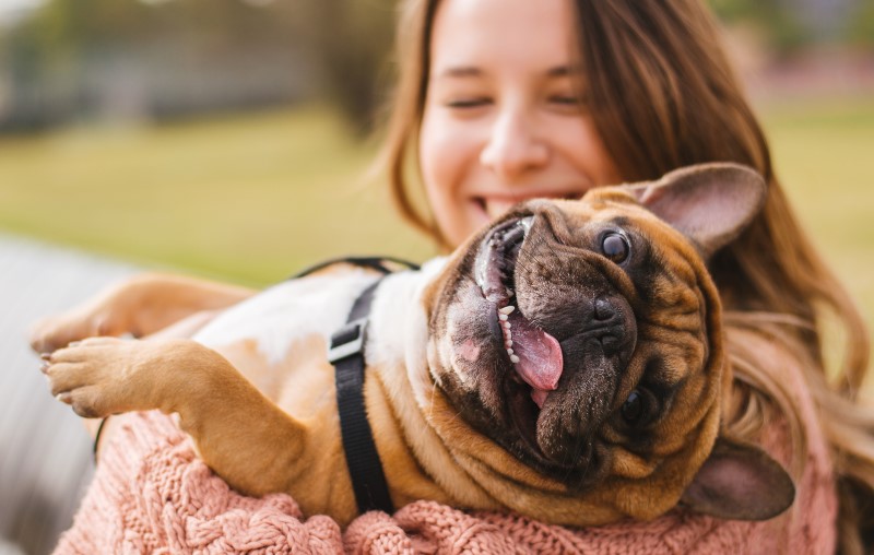 Animal de estimação em condomínio | Foto de uma moça com o cachorro no colo | Estilo de Vida | Blog Alea