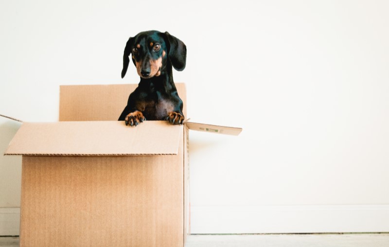 Como fazer a mudança de casa | Blog Alea