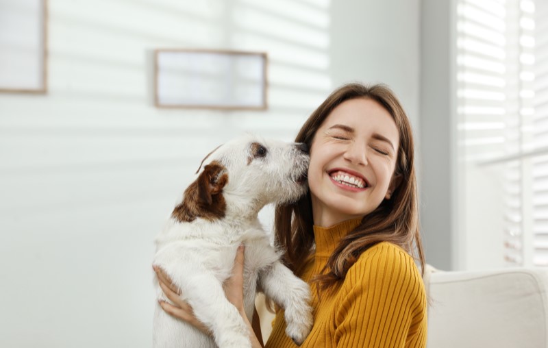 Importância dos cuidados com animais | Foto de uma mulher com cachorro lambendo ela | Estilo de Vida | Blog Alea