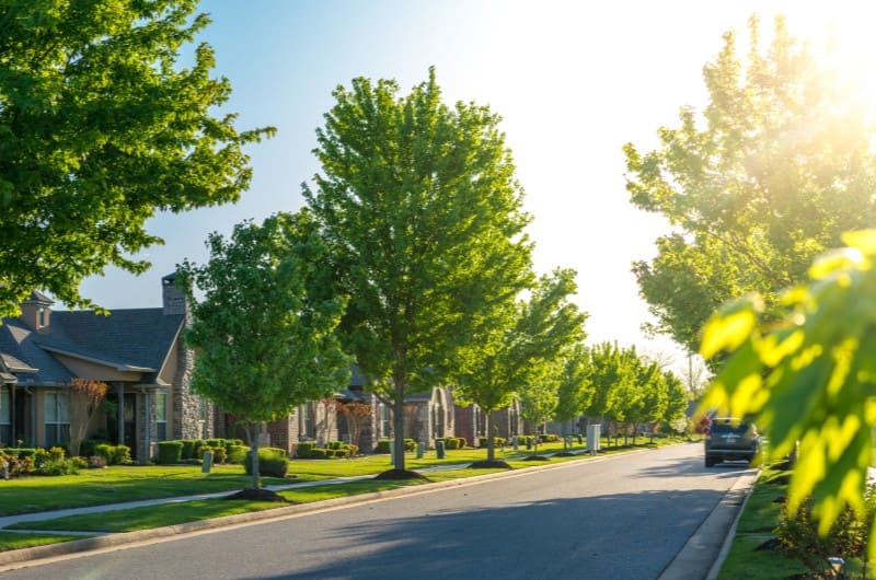 Como é morar no interior: conheça as principais vantagens | Foto de uma rua casas e árvores | Estilo de Vida | Blog Alea